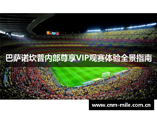 巴萨诺坎普内部尊享VIP观赛体验全景指南