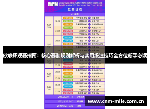 欧联杯观赛指南：核心赛制规则解析与实用投注技巧全方位新手必读